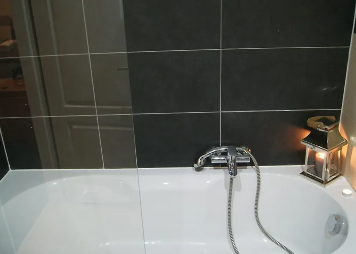 Plenus Boutique 酒店 不莱梅